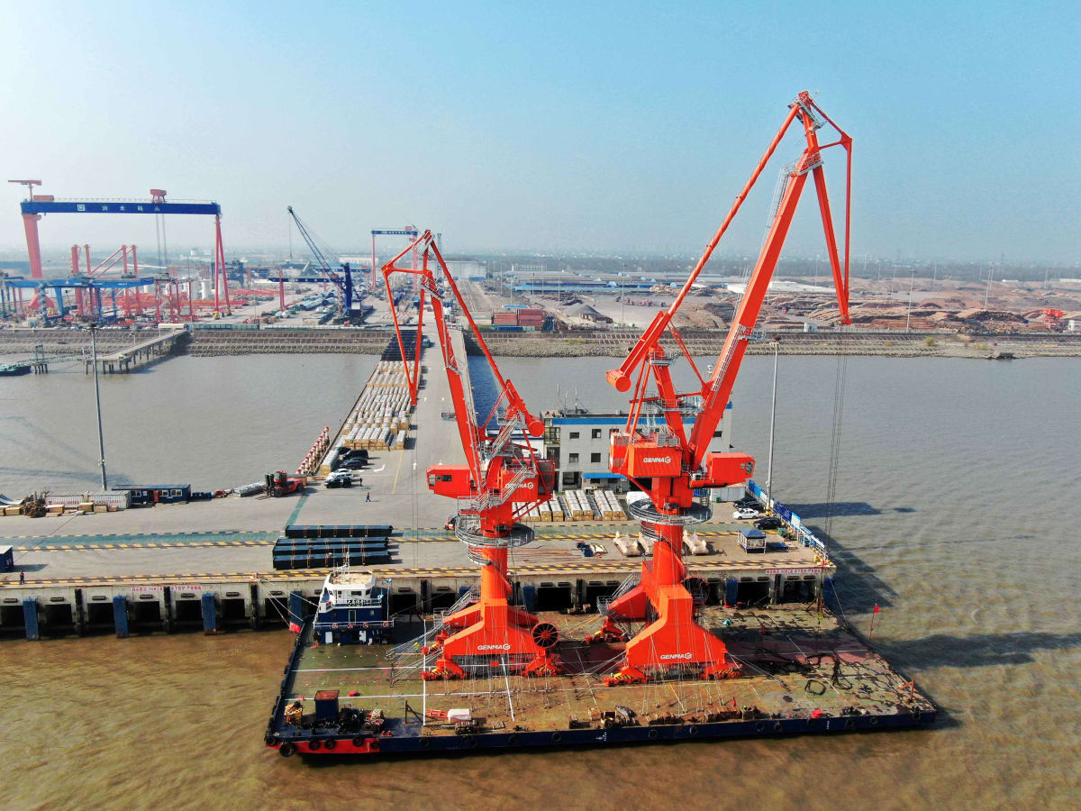 Cẩu LLC (Lever Luffing Portal Crane) 3